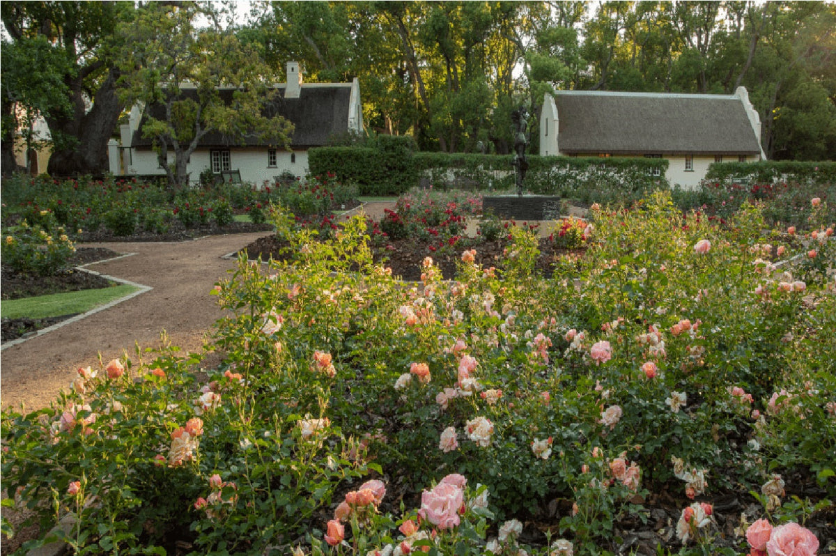 7 of the best things to do as a family in Stellenbosch