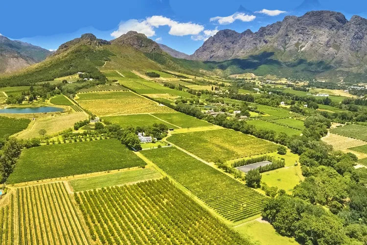 Aerial view of the lush green Stellenbosch valley with vineyards, patchwork fields, trees, a small lake, and rugged mountains under a blue sky with white clouds.