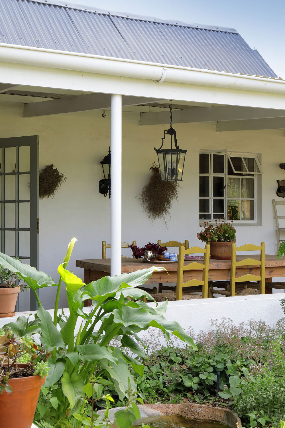 Exterior of Wisteria Cottage