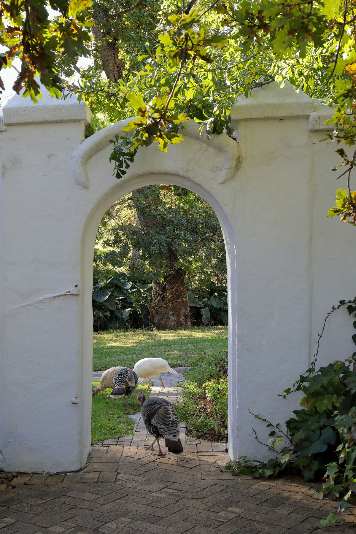 Mr Bickerton’s Cottage at San Gabriel Homestead near Stellenbosch