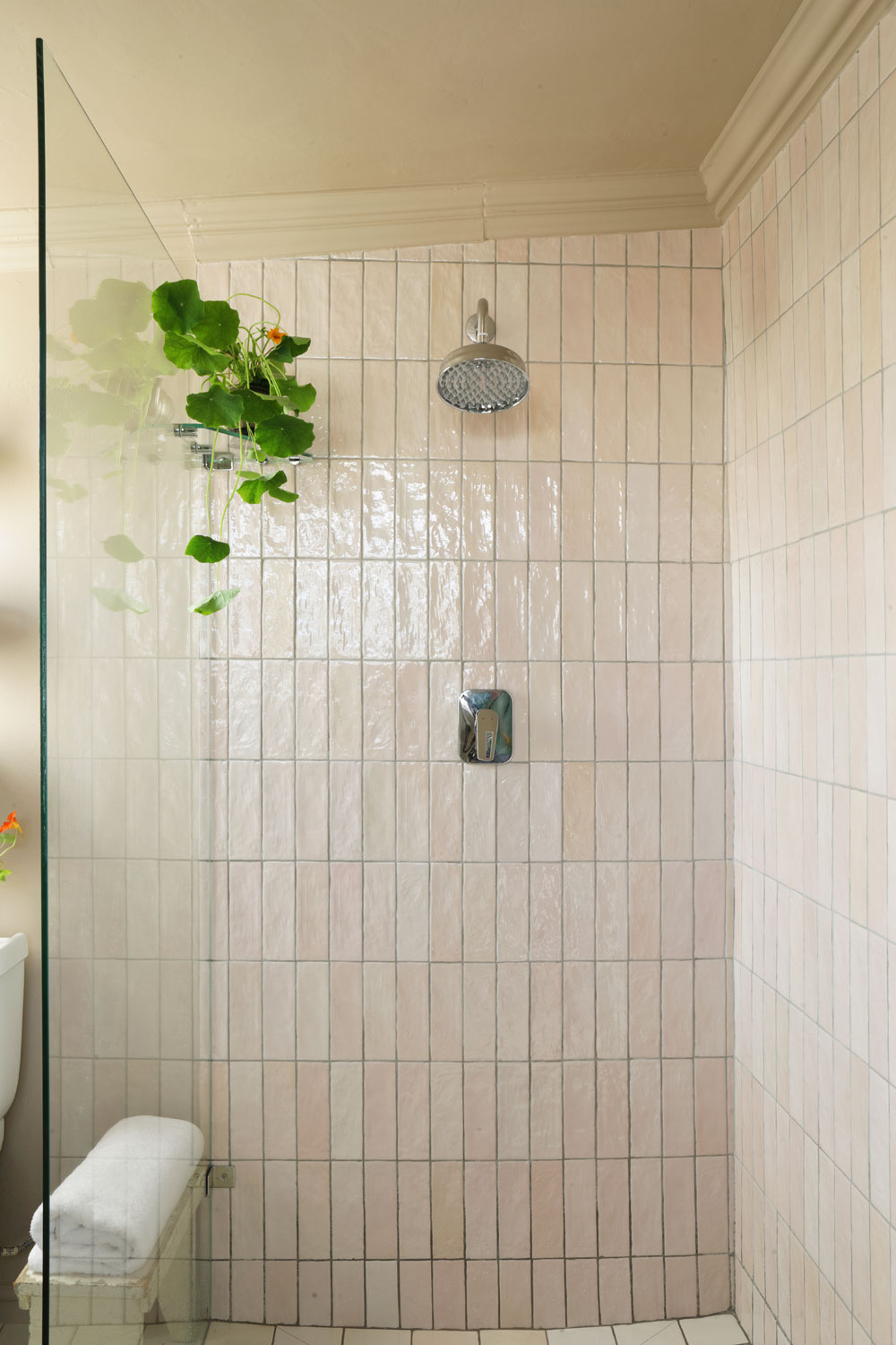 Shower at Wisteria Cottage
