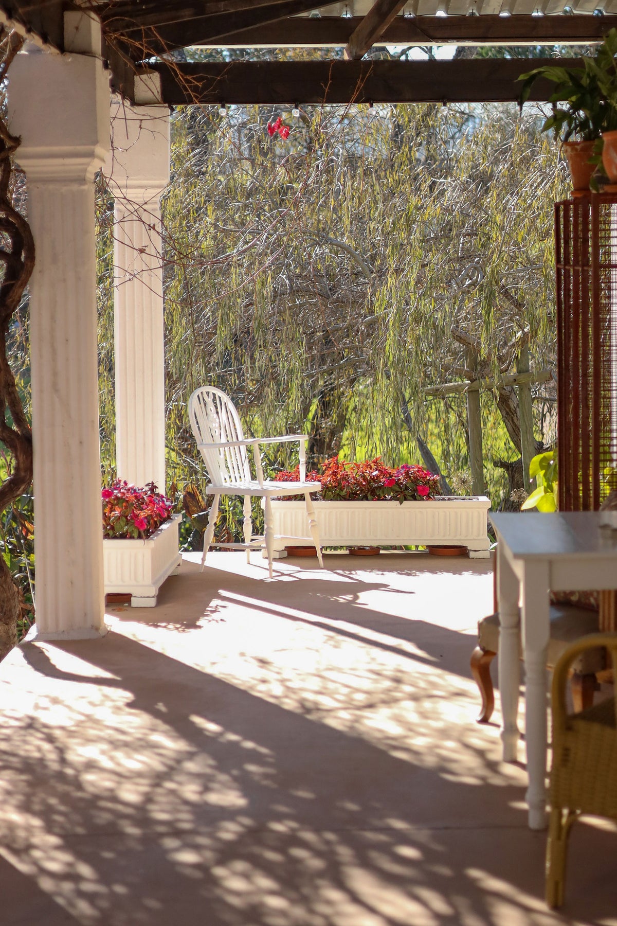Shaded vine-covered veranda and seating area at Willow Suite