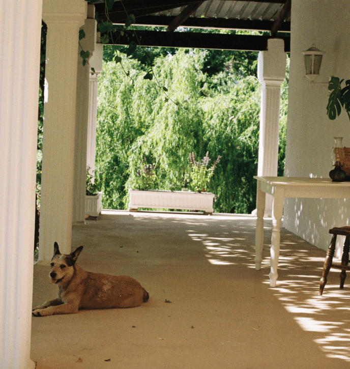 Willow veranda (2)