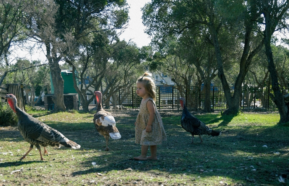 Spring Family Holidays Stellenbosch